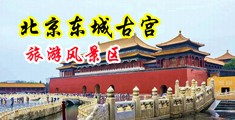 下药迷奸气质老师在线中国北京-东城古宫旅游风景区